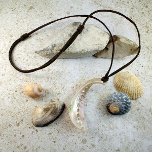Abalone Shell Necklace N-0140-b