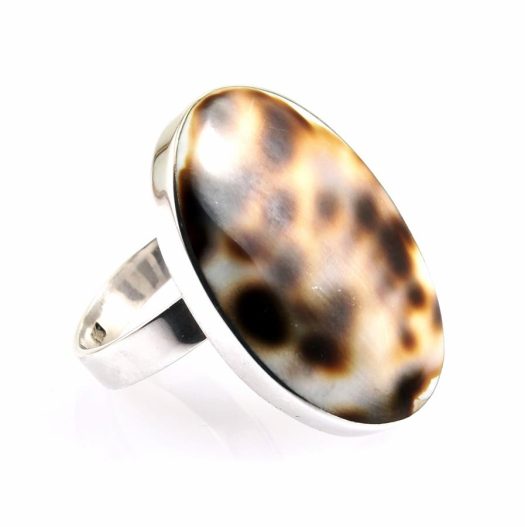 Cowrie Shell Ring R-0113-a