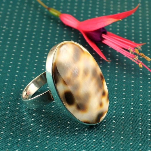 Cowrie Shell Ring R-0113-e