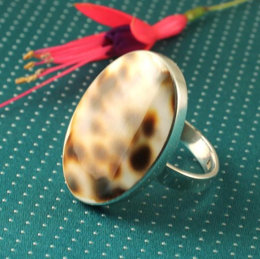 Cowrie Shell Ring R-0113-h