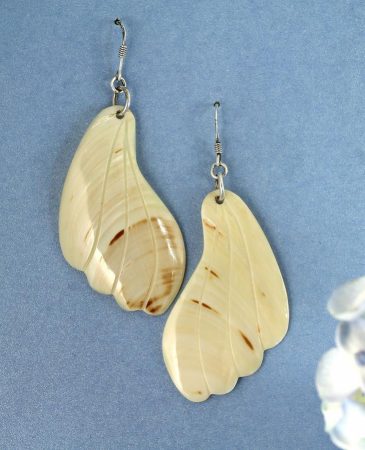 Mother-of-Pearl Butterfly Wings E-0111-b